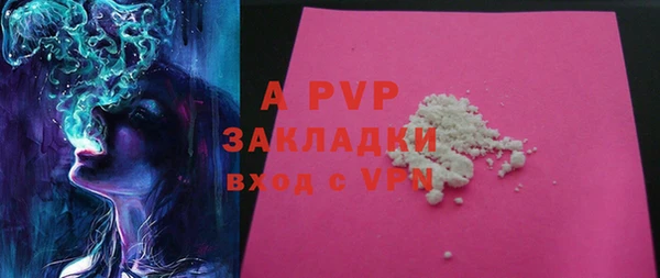 PSILOCYBIN Сясьстрой