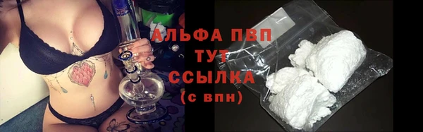 ПСИЛОЦИБИНОВЫЕ ГРИБЫ Верея