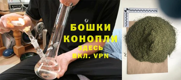 PSILOCYBIN Сясьстрой