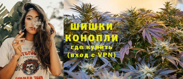 ПСИЛОЦИБИНОВЫЕ ГРИБЫ Верея
